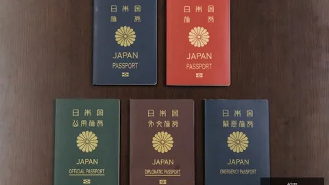 太阳主场逆转鹈鹕，连胜征程重启